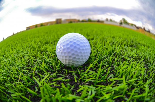 2019 女子 ゴルフ 日程